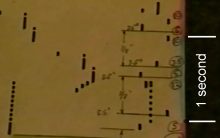 Attachment thumbnail