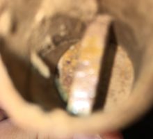 Attachment thumbnail