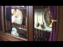 Attachment thumbnail