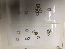Attachment thumbnail