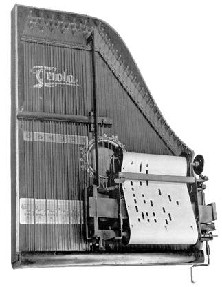 triola1.jpg (20 kb)