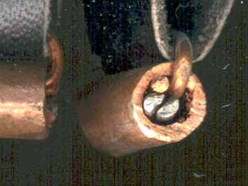 mandolin2.jpg (48 KB)